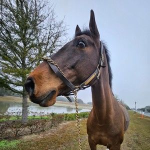 Meet your Posher, Leah